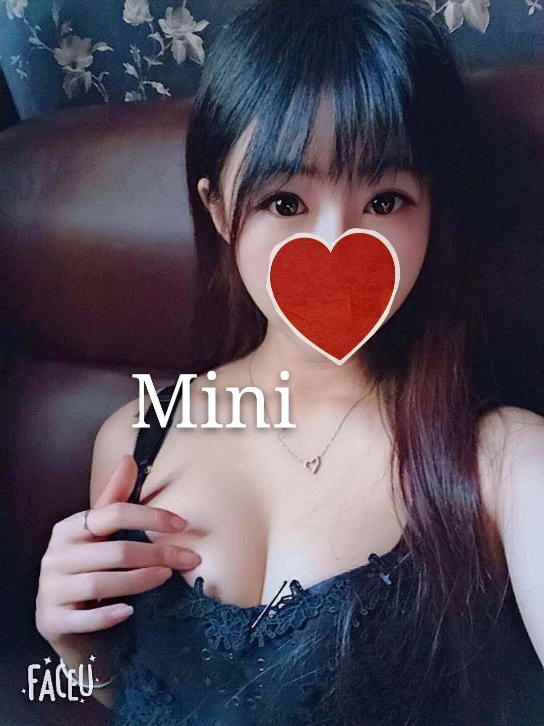 <b>Mini</b>